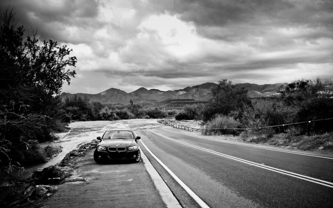 Griffin’ BBQ Samples & Local Photographer “Photos Granted”