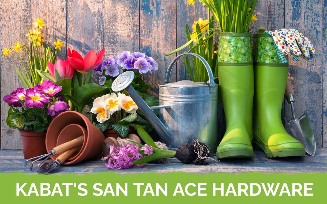 Ask a Master Gardener