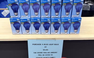 💙🔵👮🏻‍♂️👮💡Project Blue Light